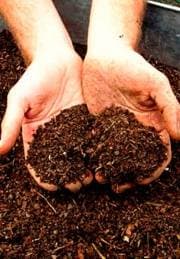 Биопрепарат "Bionex Compost" Биопрепарат "Bionex Compost"