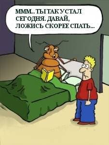 Как можно бороться с клопами во всем здании, а не только в своей квартире? Можно ли обязать соседей травить клопов?