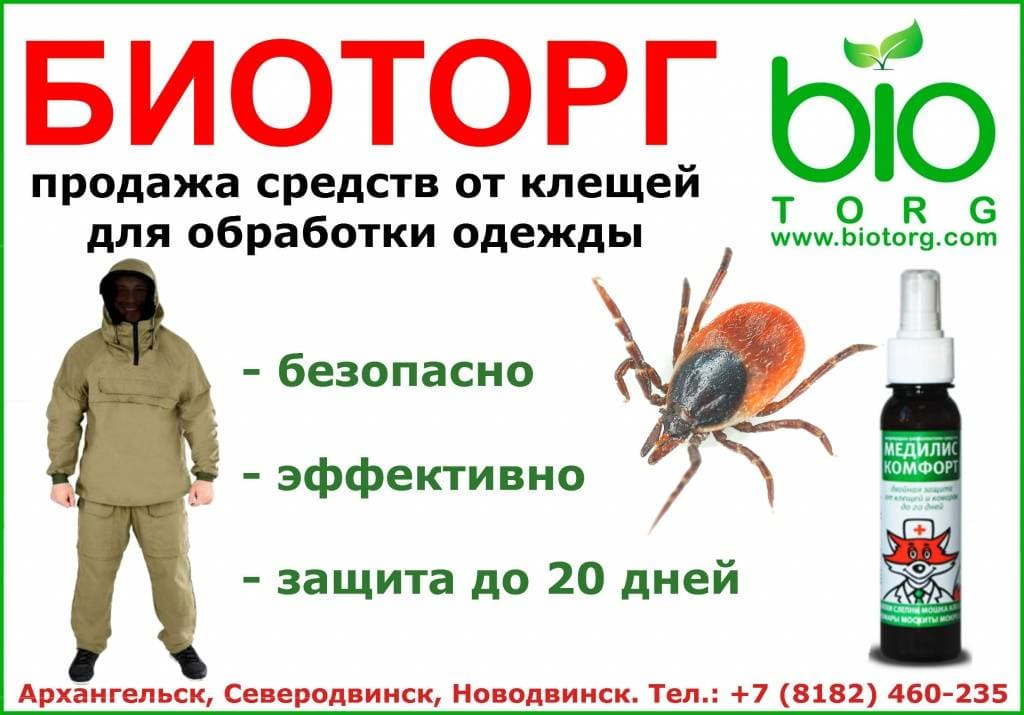 готово шаблон медилис 3.jpg готово шаблон медилис 3.jpg