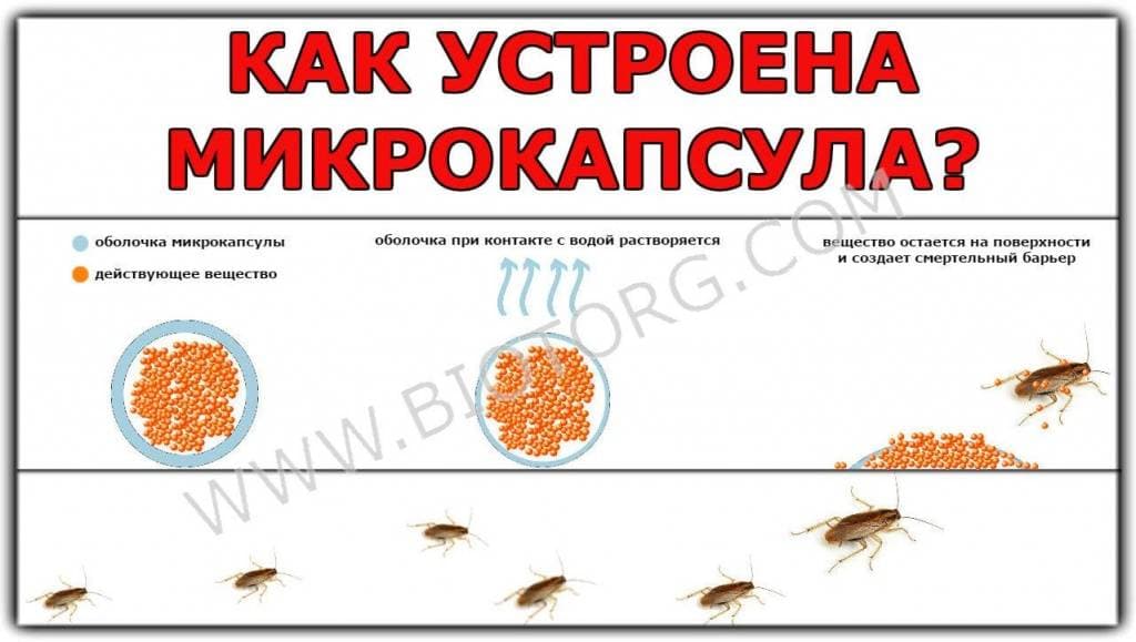 master 250 cho takoe готово.jpg master 250 cho takoe готово.jpg