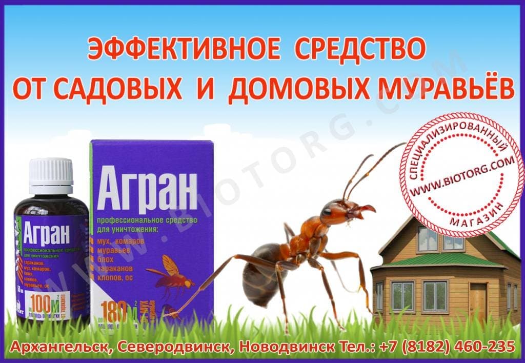 Agran_1.jpg Agran_1.jpg