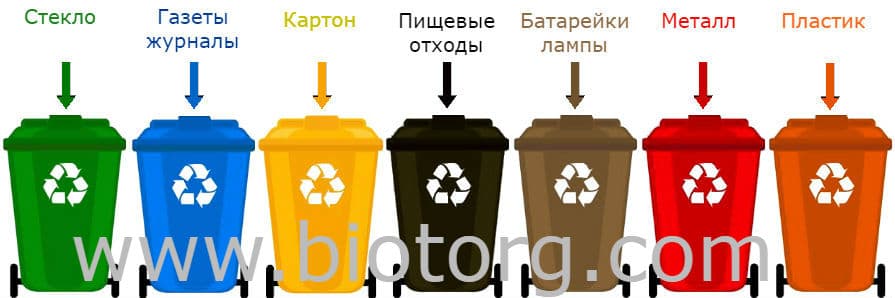Цвета мусорных контейнеров в РФ: что куда выбрасывать.